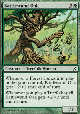 BATTLEWAND OAK