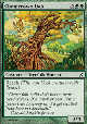 CLOUDCROWN OAK