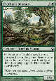 EVERBARK SHAMAN