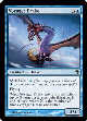 VOYAGER DRAKE
